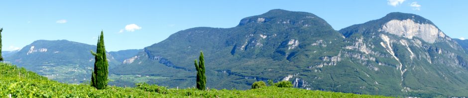 慶應義塾大学・法学部・ドイツ語
